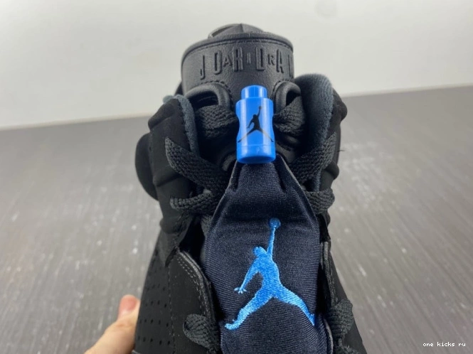 Rep Onekick RETRO 6 JORDAN UNC 384664-006 0719